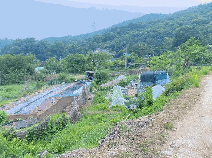 경기도 남양주시 별내면 용암리 590-1 법원경매 물건 대표사진