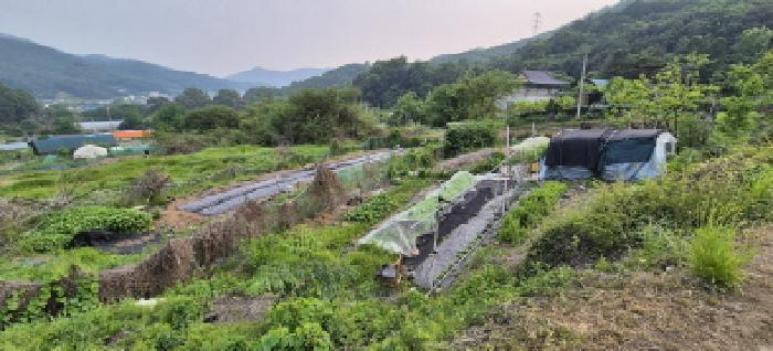 법원경매 2025타경1693 사진7 | 남양주시 별내면 용암리 590-1 전 경매