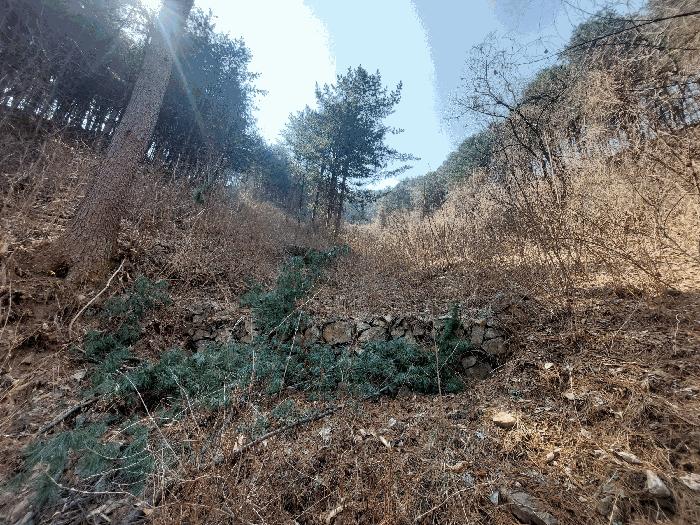 2025타경71342 법원경매 사진2 | 경기 가평군 임야 경매