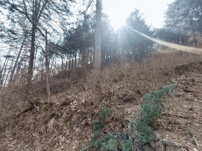 2025타경71342 법원경매 사진3 | 경기 가평군 임야 경매