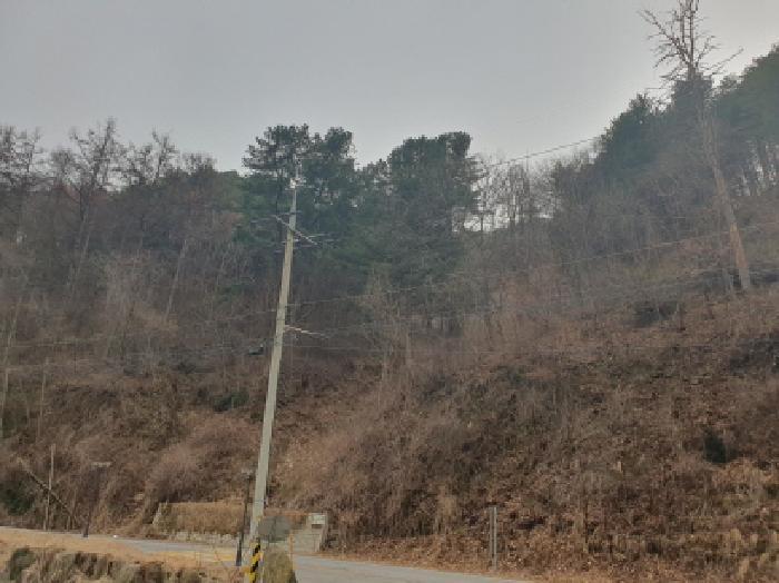 2025타경71342 법원경매 사진9 | 경기 가평군 임야 경매