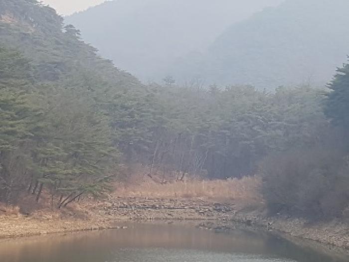법원경매 2025타경162 사진19 | 의성군 점곡면 사촌리 29 답 경매