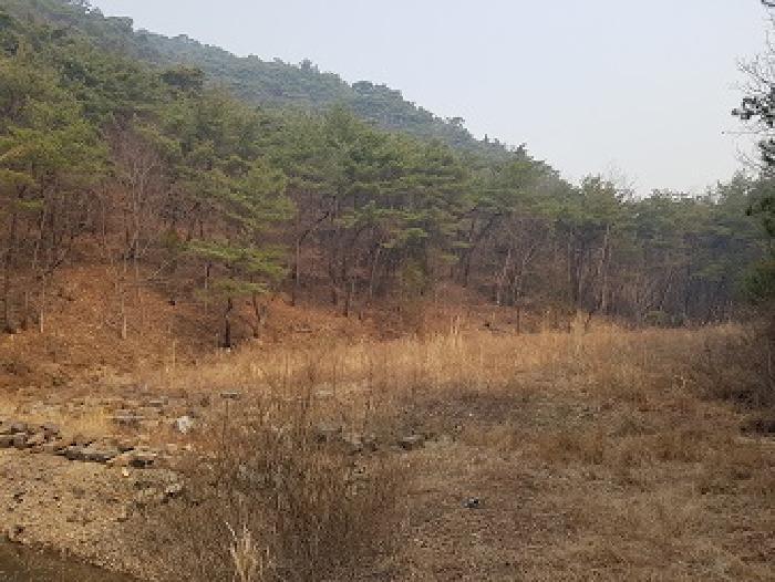 법원경매 2025타경162 사진20 | 의성군 점곡면 사촌리 29 답 경매