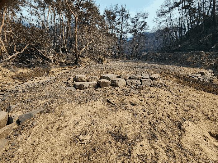법원경매 2025타경162 사진9 | 의성군 점곡면 사촌리 29 답 경매