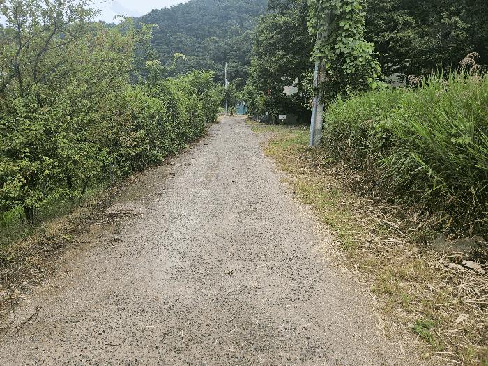 법원경매 2025타경8449 사진12 | 칠곡군 가산면 가산리 4-5 펜션(캠핑장) 경매