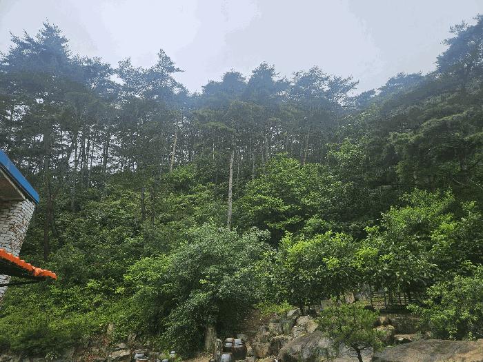 법원경매 2025타경8449 사진5 | 칠곡군 가산면 가산리 4-5 펜션(캠핑장) 경매