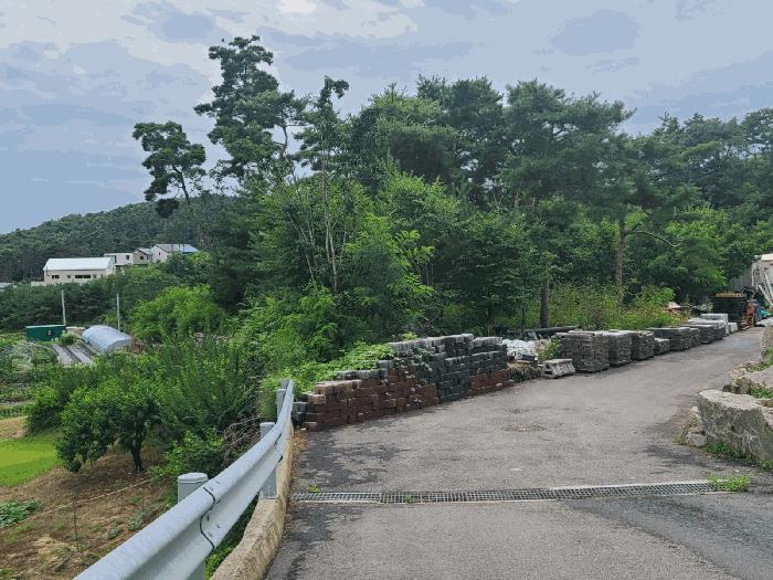 2025타경502961 법원경매 사진12 | 세종 장군면 임야 경매