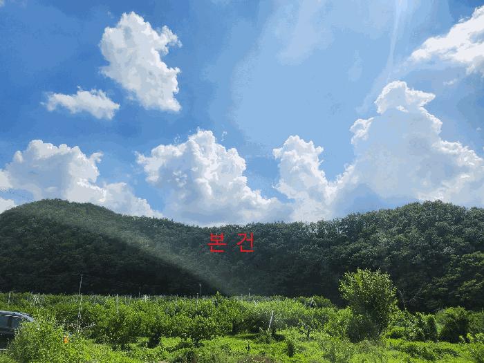 경상북도 영천시 임고면 사리 산20 법원경매 물건 대표사진
