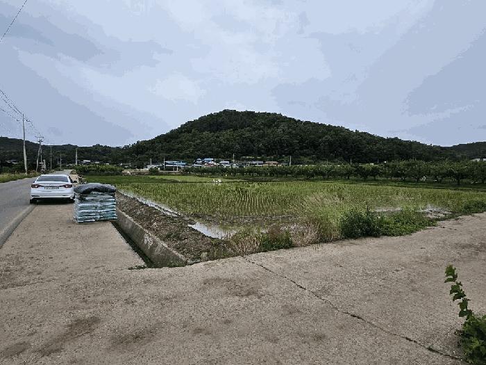 법원경매 2025타경10204 사진2 | 의성군 봉양면 답 경매