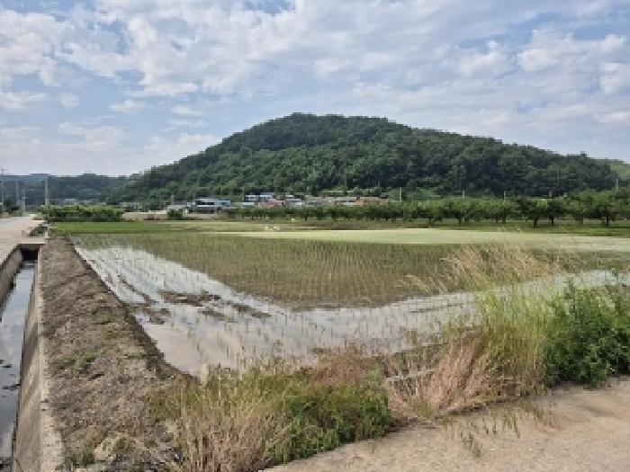 법원경매 2025타경10204 사진5 | 의성군 봉양면 답 경매