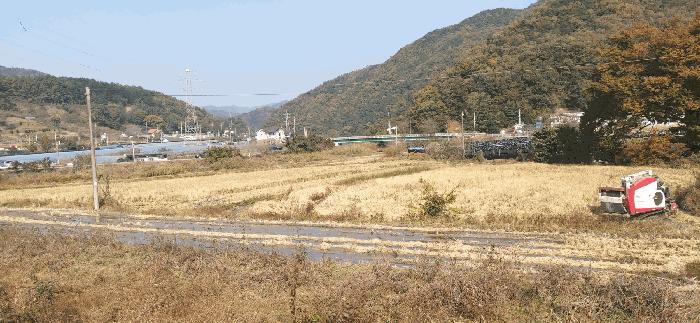 충청남도 금산군 추부면 성당리 620-1 법원경매 물건 대표사진