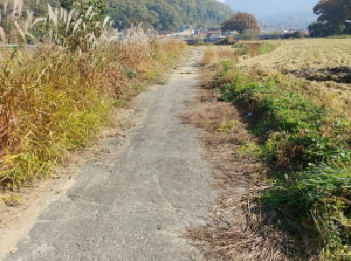 2025타경503706 법원경매 사진19 | 충남 금산군 답 경매