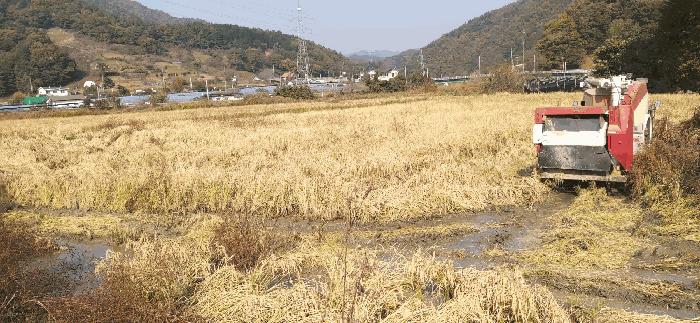 2025타경503706 법원경매 사진2 | 충남 금산군 답 경매