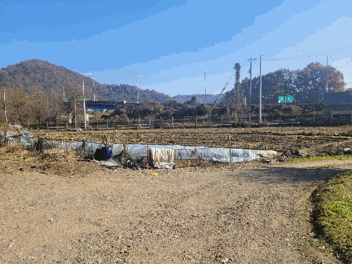 2025타경503733 법원경매 사진5 | 세종 전의면 전 경매