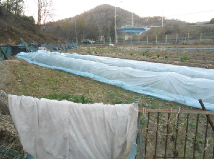 2025타경503733 법원경매 사진6 | 세종 전의면 전 경매