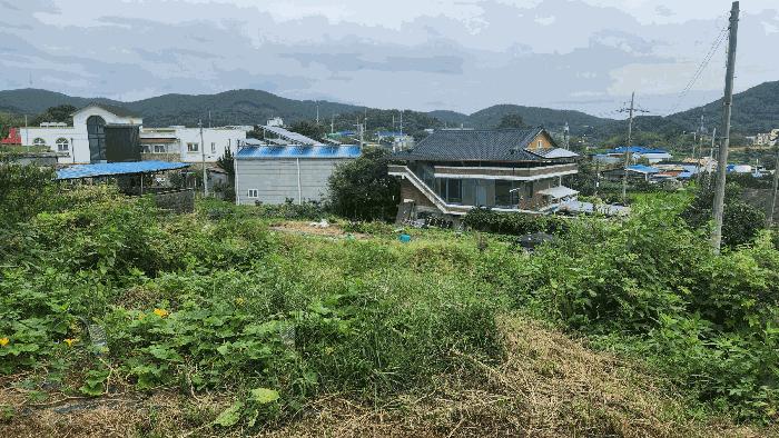 2025타경12355 법원경매 사진3 | 충남 아산시 대지 경매