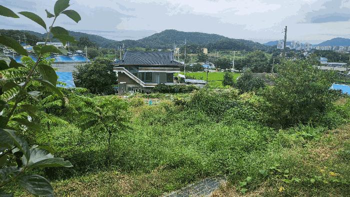 2025타경12355 법원경매 사진5 | 충남 아산시 대지 경매