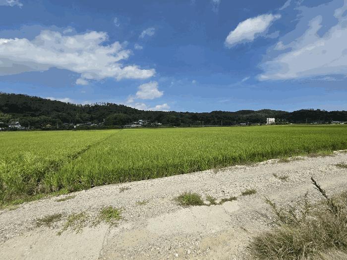 법원경매 2025타경1379 사진7 | 울산 울주군 온양읍 동상리 236 답 경매