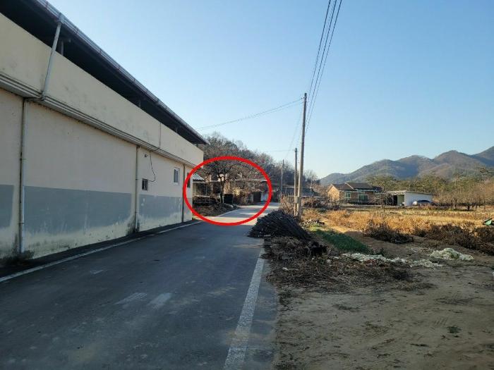법원경매 2024타경18559 사진2 | 구미시 선산읍 북산리 528-1 주택건물 경매