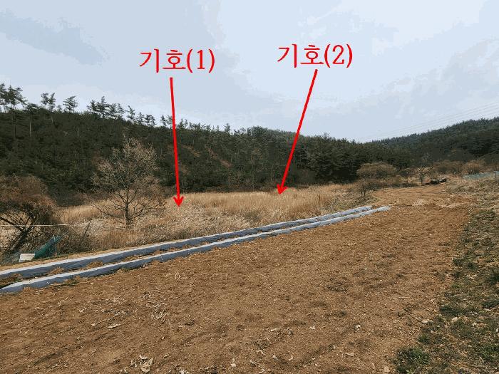 2025타경51155 법원경매 사진3 | 충남 태안군 답 경매