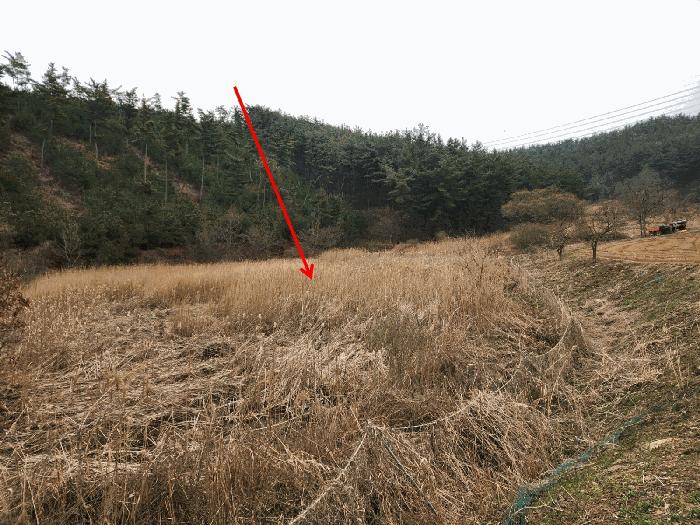 2025타경51155 법원경매 사진6 | 충남 태안군 답 경매