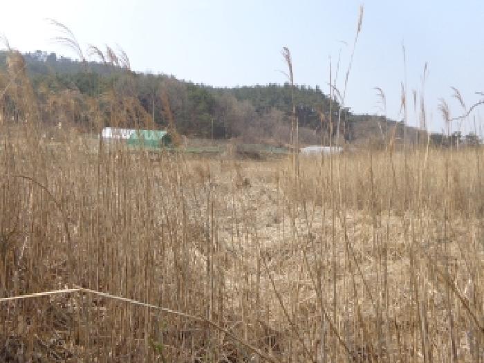 법원경매 2025타경51155 사진10 | 태안군 원북면 이곡리 326 임야 경매