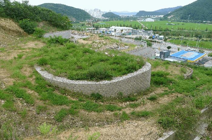 법원경매 2025타경11179 사진11 | 구미시 양호동 임야 경매