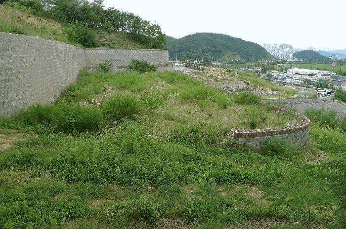 법원경매 2025타경11179 사진3 | 구미시 양호동 임야 경매