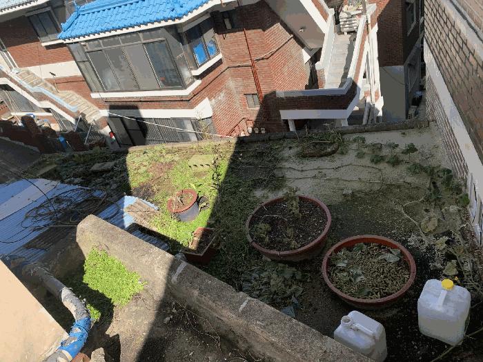 법원경매 2025타경4126 사진7 | 부천시 소사구 괴안동 88-3 주택건물 경매