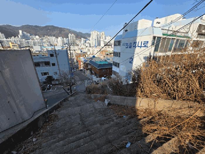 법원경매 2025타경101142 사진2 | 부산 사하구 괴정동 임야 경매