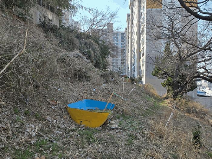 법원경매 2025타경101142 사진3 | 부산 사하구 괴정동 임야 경매