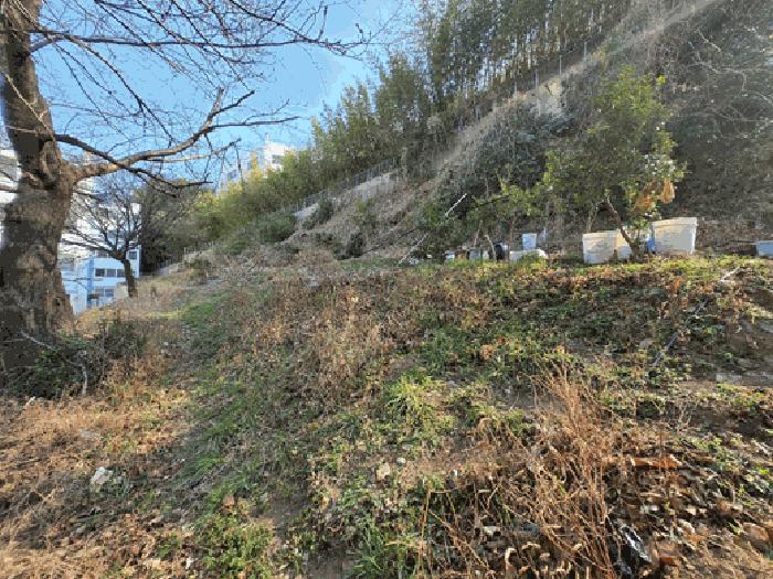 법원경매 2025타경101142 사진4 | 부산 사하구 괴정동 임야 경매