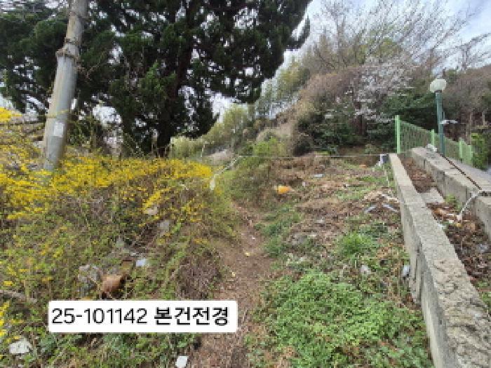 법원경매 2025타경101142 사진7 | 부산 사하구 괴정동 임야 경매