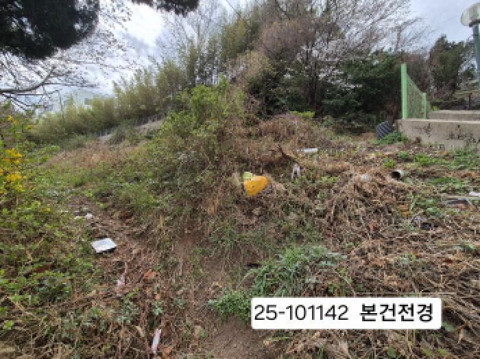 법원경매 2025타경101142 사진8 | 부산 사하구 괴정동 임야 경매