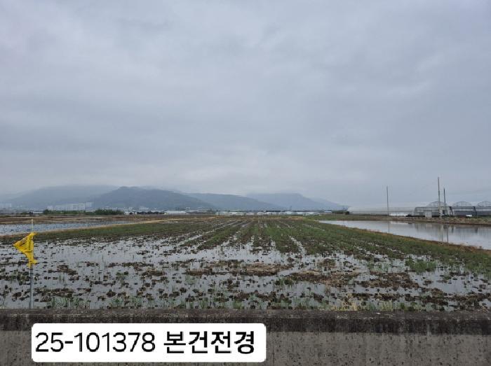 법원경매 2025타경101378 사진5 | 부산 강서구 강동동 921-1 답 경매