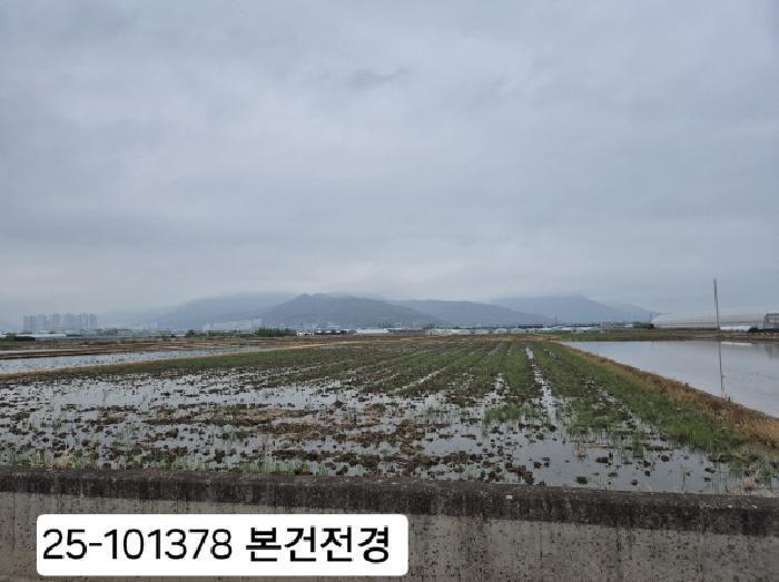 법원경매 2025타경101378 사진6 | 부산 강서구 강동동 921-1 답 경매
