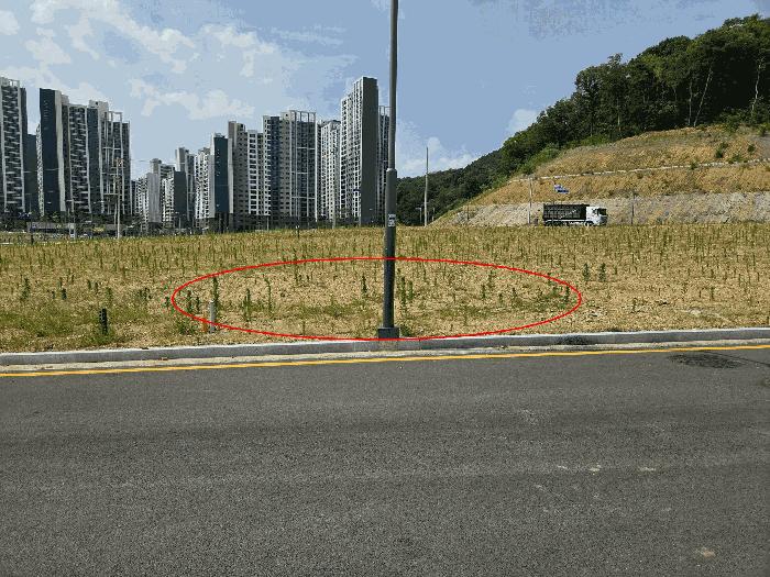 법원경매 2025타경11067 사진2 | 구미시 거의동 266-1 답 경매