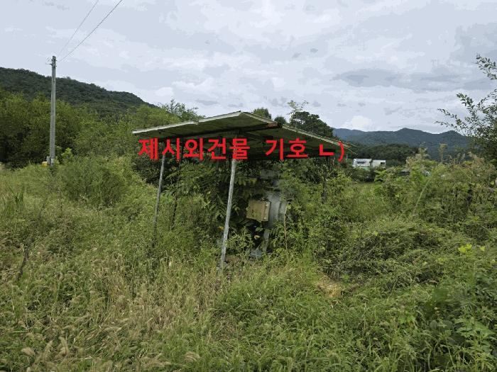 법원경매 2025타경2887 사진5 | 성주군 월항면 지방리 502-2 답 경매
