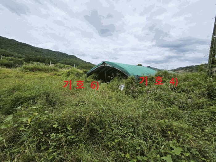 법원경매 2025타경2887 사진6 | 성주군 월항면 지방리 502-2 답 경매