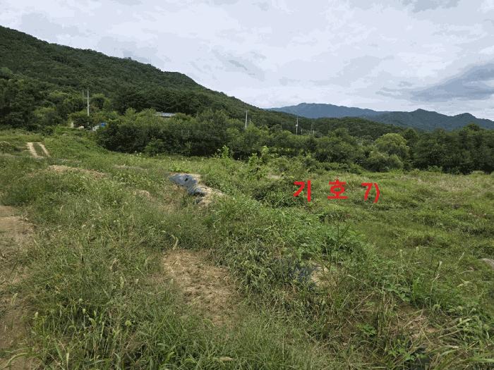 법원경매 2025타경2887 사진7 | 성주군 월항면 지방리 502-2 답 경매