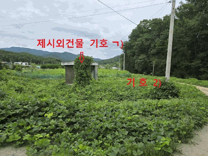 법원경매 2025타경2887 사진9 | 성주군 월항면 지방리 502-2 답 경매