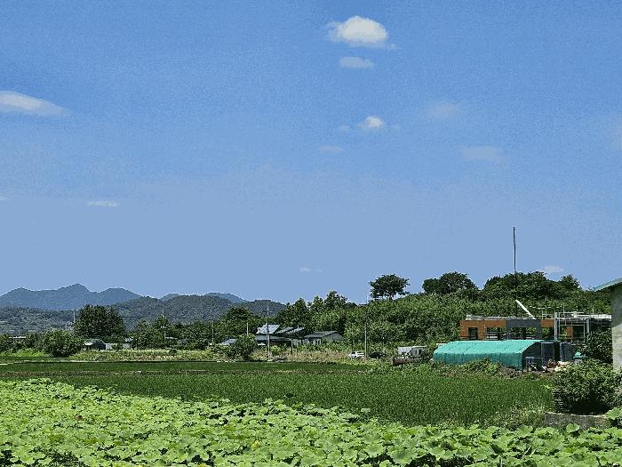 경남 창원시 의창구 대산면 갈전리 999-14 답 경매 물건 사진