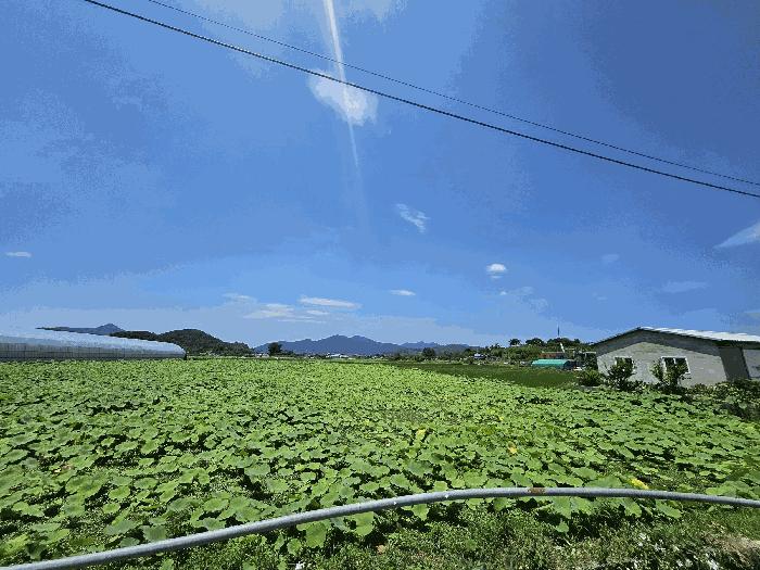 경남 창원시 의창구 대산면 갈전리 999-14 답 사진 2