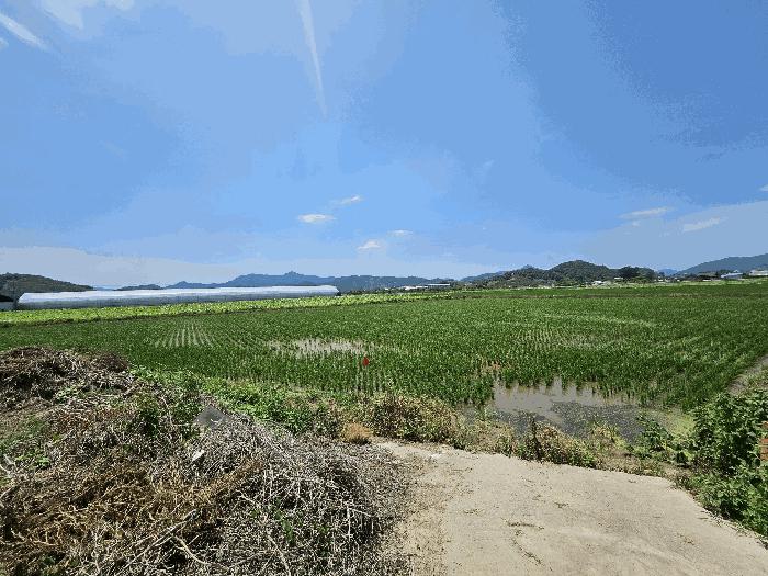 경남 창원시 의창구 대산면 갈전리 999-14 답 사진 3
