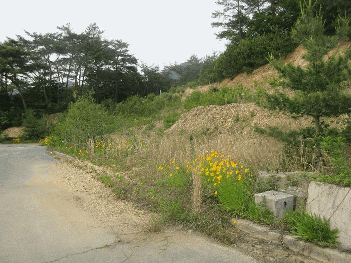 2025타경3218 법원경매 사진3 | 전남 화순군 전 경매