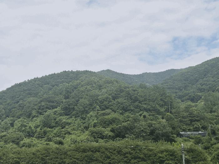 2025타경8720 법원경매 사진4 | 경북 청도군 전답 경매