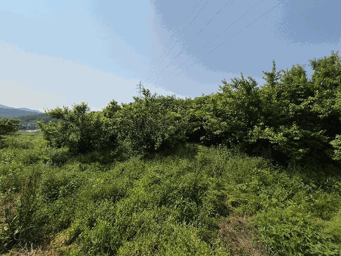 2025타경32819 법원경매 사진2 | 전남 장성군 전 경매