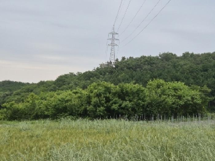 2025타경32819 법원경매 사진7 | 전남 장성군 전 경매