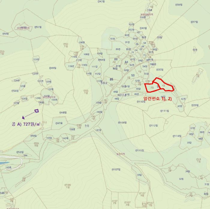 2025타경33608 법원경매 사진20 | 전남 곡성군 도로 경매