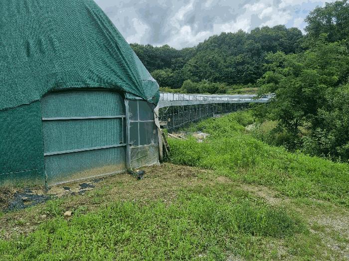 경상북도 김천시 대항면 덕전리 740 법원경매 물건 대표사진
